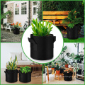 New arrival black felt grow bag 2 gallon strawberry plant grow bags planting bag for planting vegetables